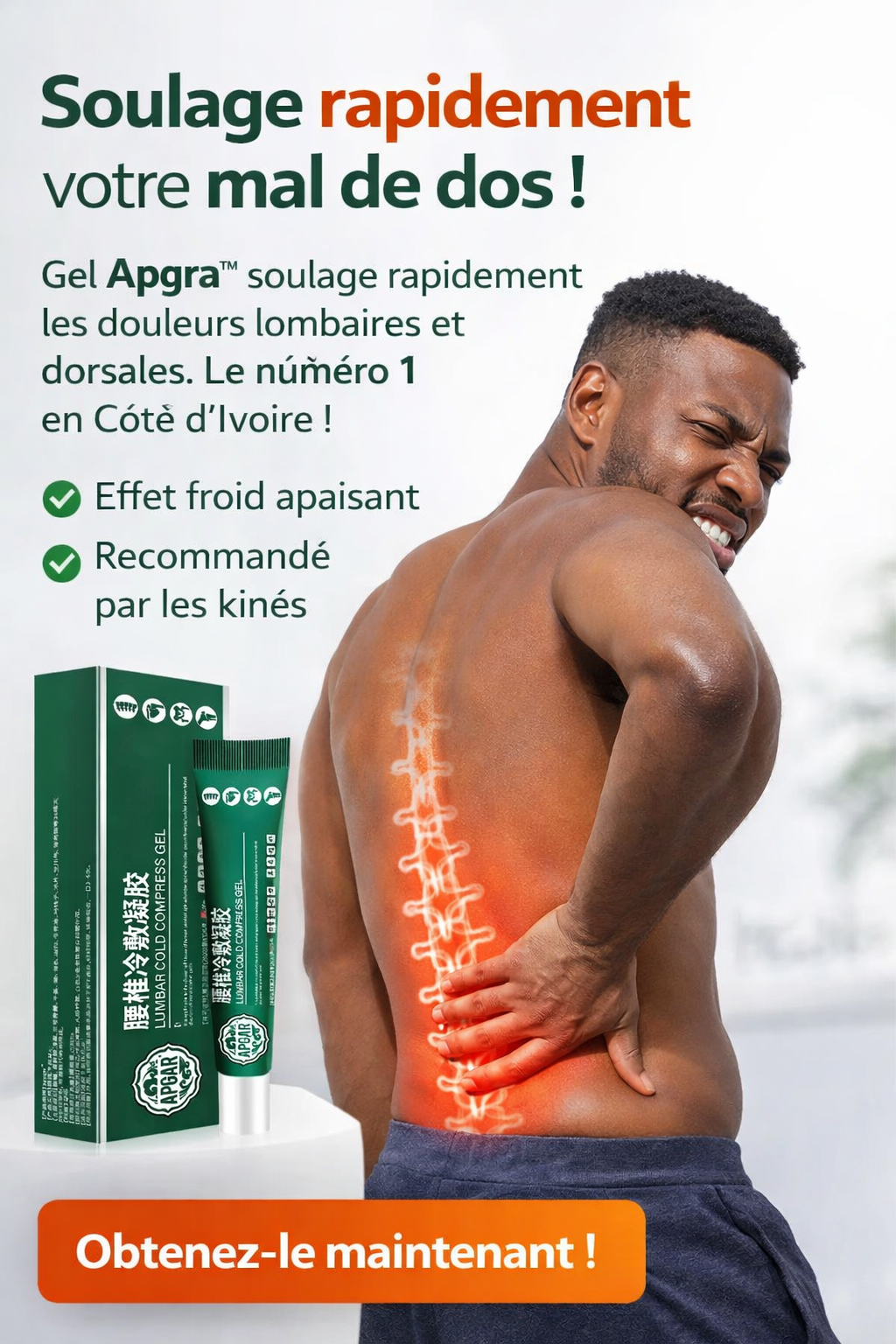 Pack ( 2 Boites ) Gel Japonaise Pour Les Douleurs Articualires ( Dos , Genoux , Epauls , ... )