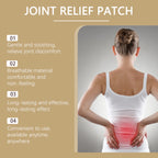 Pack ( 2 Boites ) Patch de Soulagement des Douleurs Articulaires